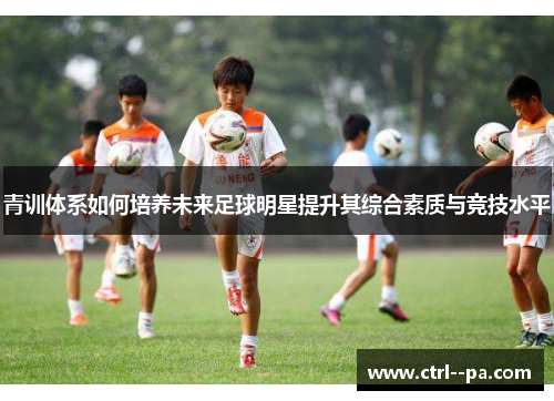 青训体系如何培养未来足球明星提升其综合素质与竞技水平
