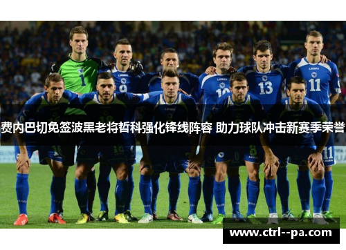 费内巴切免签波黑老将哲科强化锋线阵容 助力球队冲击新赛季荣誉