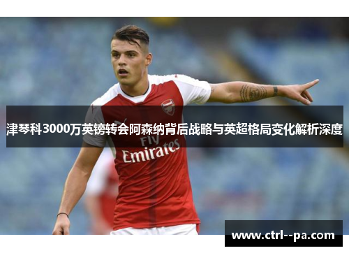 津琴科3000万英镑转会阿森纳背后战略与英超格局变化解析深度