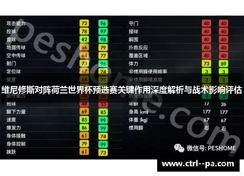 维尼修斯对阵荷兰世界杯预选赛关键作用深度解析与战术影响评估