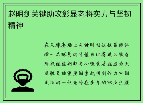 赵明剑关键助攻彰显老将实力与坚韧精神